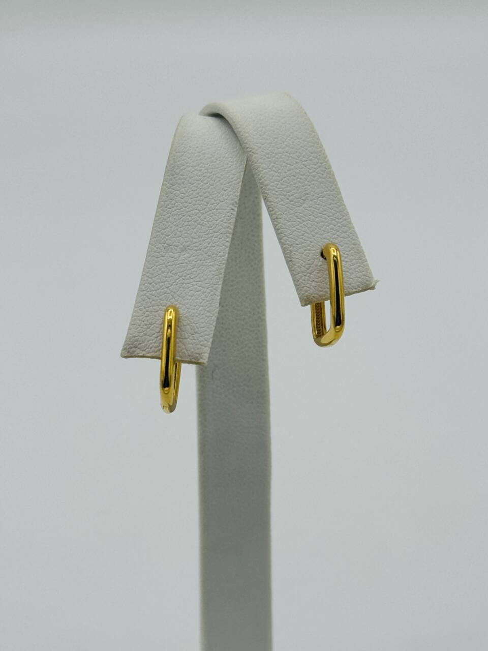 Hoop Earring