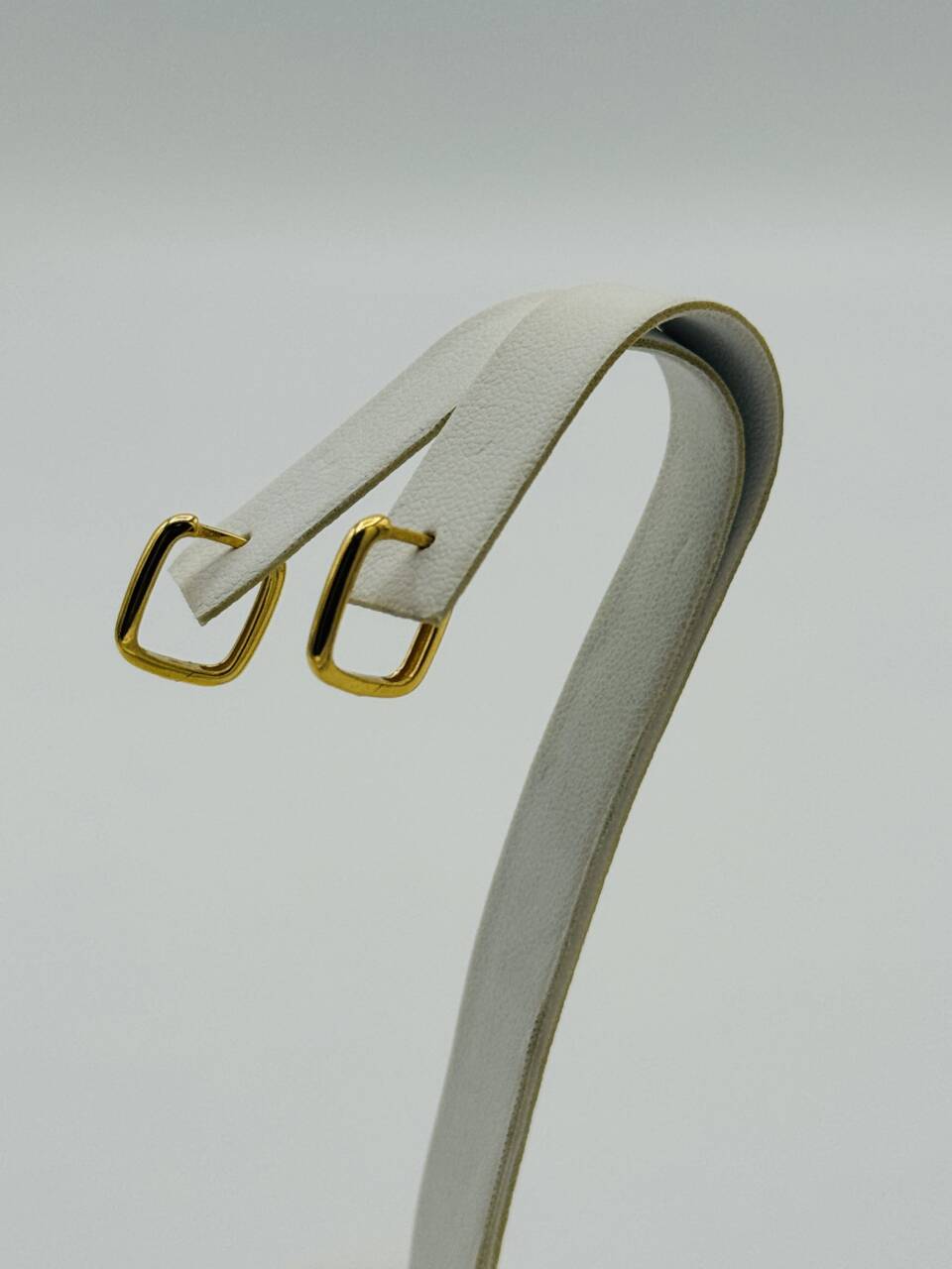 Hoop Earring