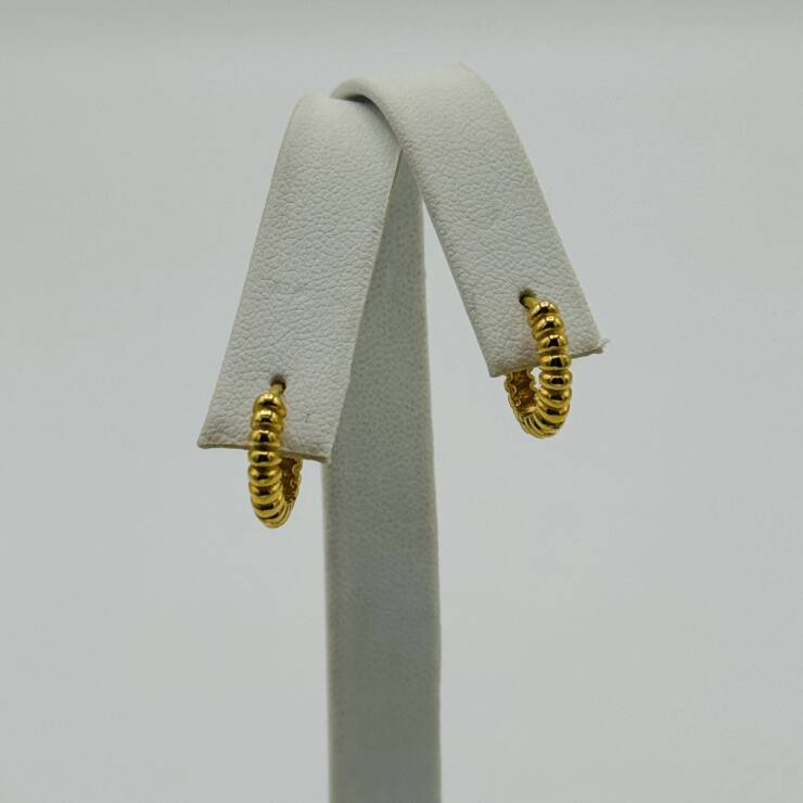 Hoop Earring