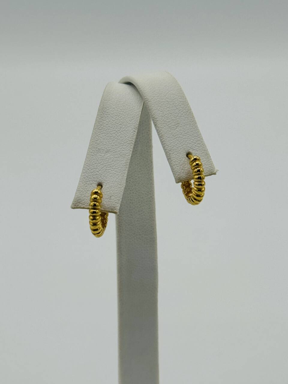 Hoop Earring
