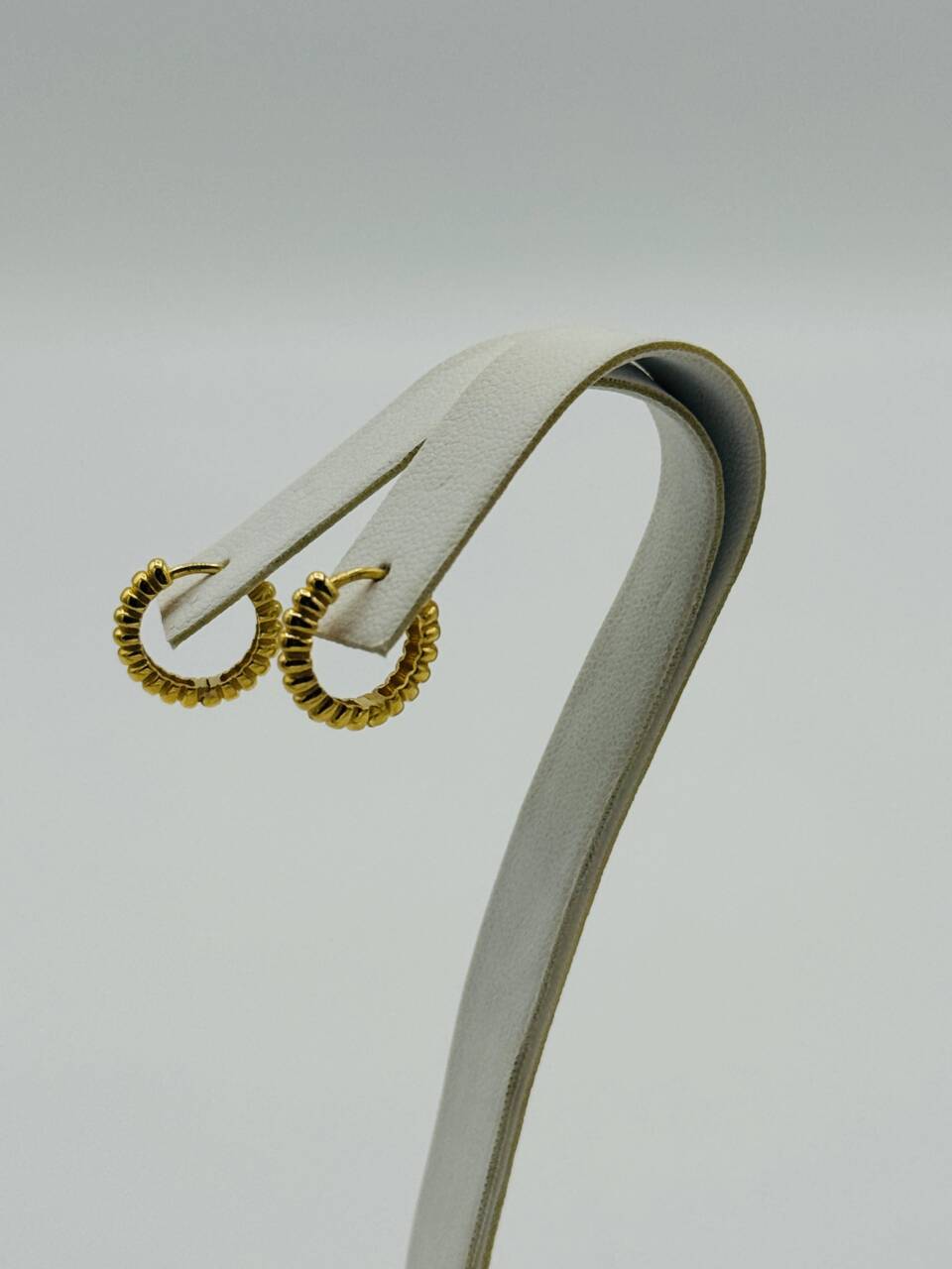 Hoop Earring