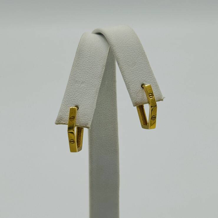Hoop Earring