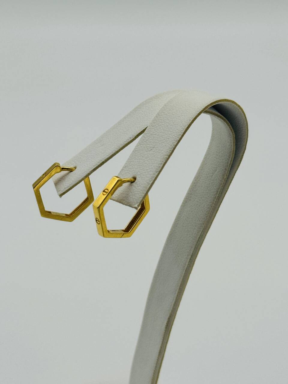 Hoop Earring