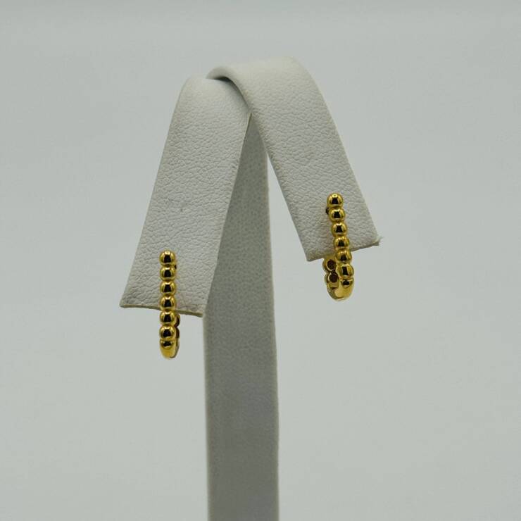 Hoop Earring