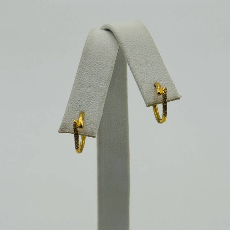 Hoop Earring