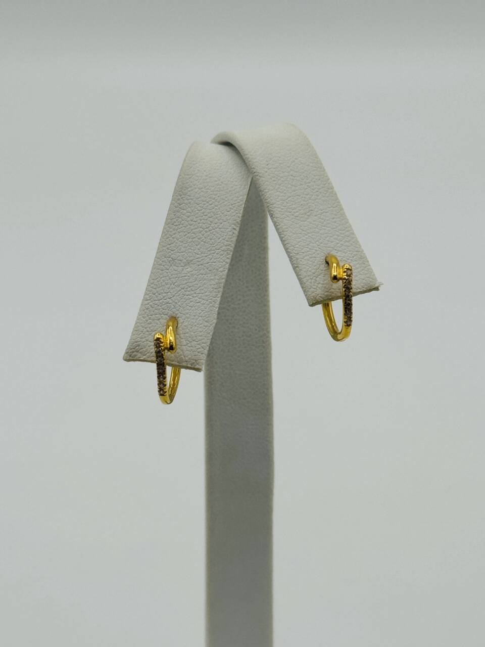 Hoop Earring