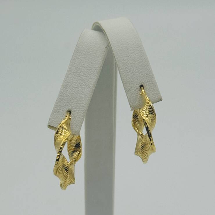 Hoop Earring