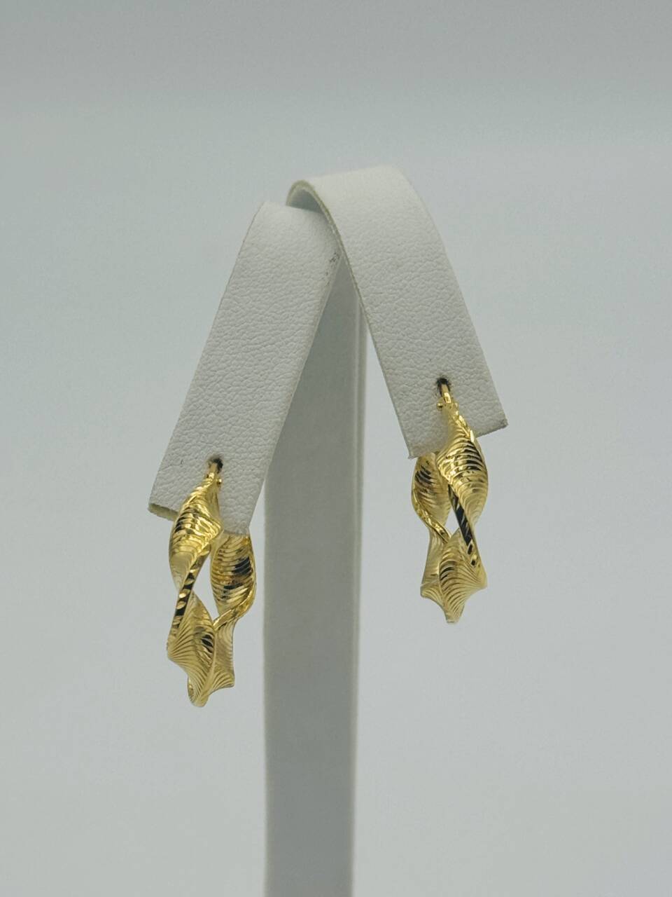 Hoop Earring