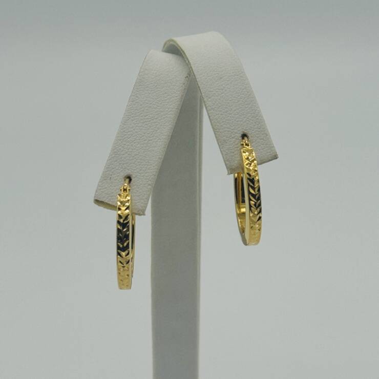 Hoop Earring