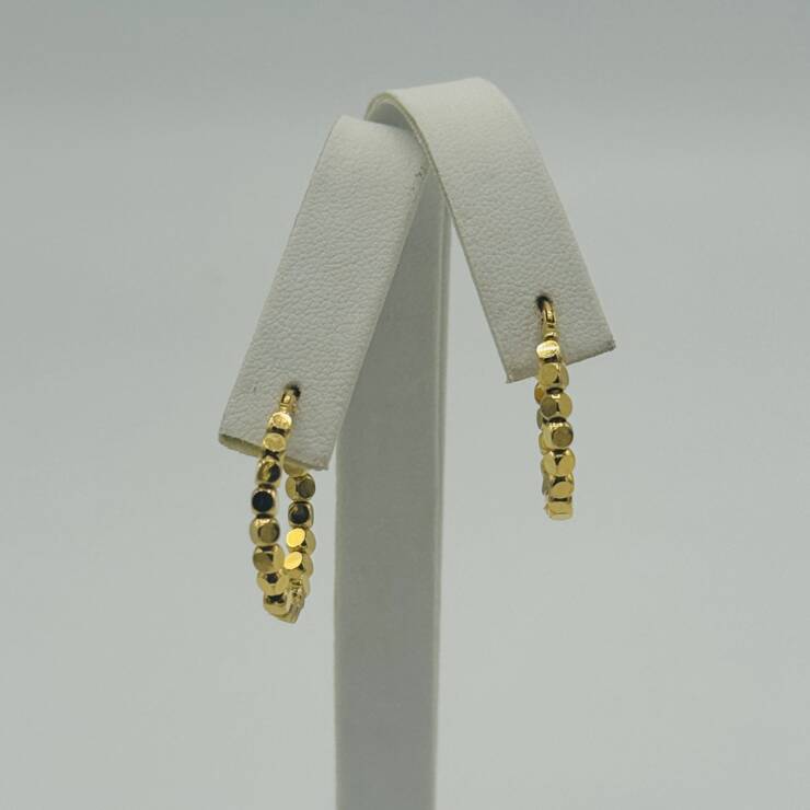Hoop Earring