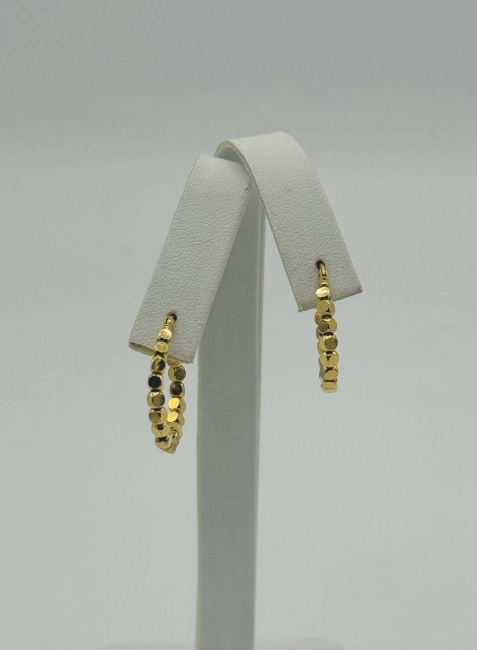 Hoop Earring