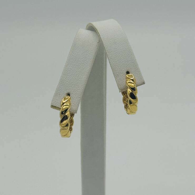 Hoop Earring