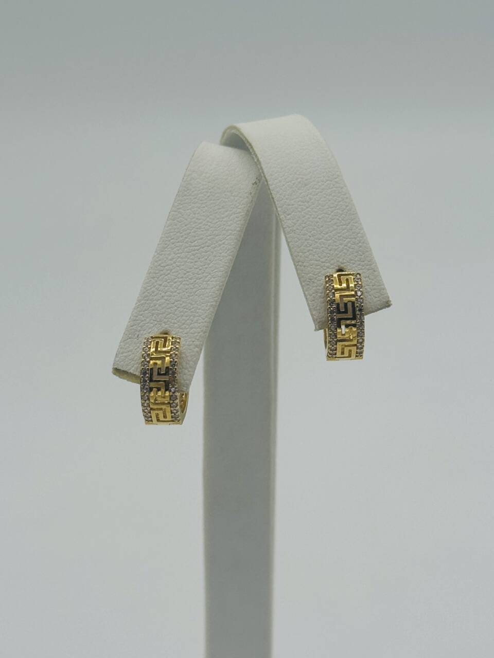 Hoop Earring