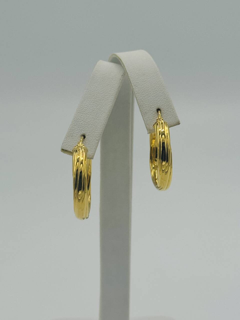 Hoop Earring